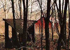 The Abandoned Cottage