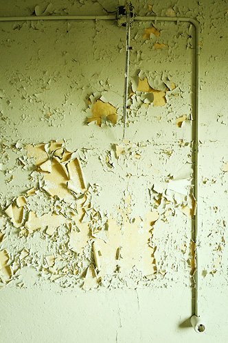 These walls don't lie #2