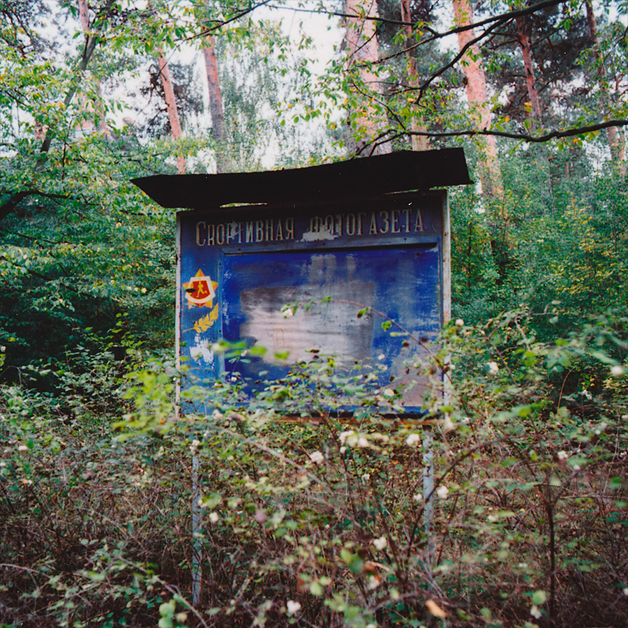 Vegetation taking no notice of the notice board at Soviet Military Base FZ. Former DDR, Germany. October 2014.
