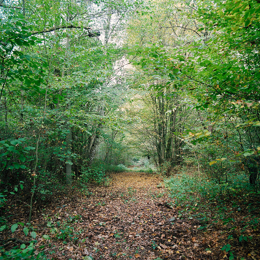 Mysteriously straight roads at Soviet Military Base SW. Former DDR, Germany. October 2014.